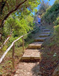 Lithea Villas and Studios by the Sea Alonissos Greece