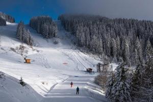 Appartements L'Enchalpe, Grand et lumineux studio avec coin montagne 5 personnes, 60m des pistes, PISCINE COUVERTE, grand balcon expo EST, DRAPS NON COMPRIS : photos des chambres