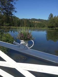 Z sercem w Bieszczady