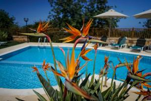 Dafni - Gerani Villas With private pooi Rethymno Greece