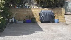 Loft on copley - Ferntree