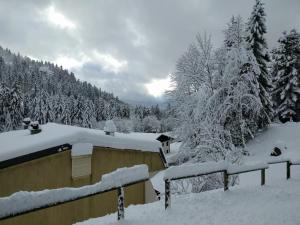 Appartements Studio sous les pistes avec vue sur la vallee : Appartement 1 Chambre