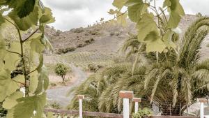 Casa Los Lirios