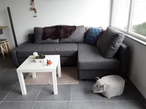 Terrasses de Malmedy - Duplex 419