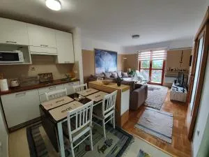 Apartman Lari - 特拉夫尼克