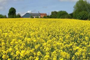 Maisons de vacances Ferme de Wichery, Gite 2-6 pers. : photos des chambres