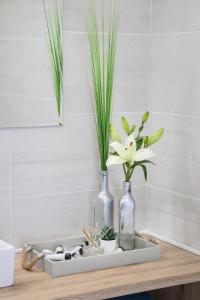 Flower Square Apartments 