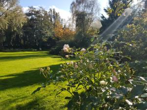 B&B / Chambres d'hotes Les Jardins : photos des chambres