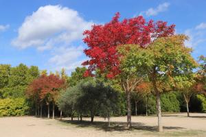 B&B / Chambres d'hotes La Bastide des Pins : photos des chambres