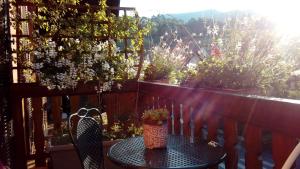 Marcia Donatti - A lOmbre des Coteaux Sao Paulo