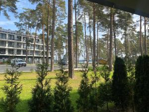 Apartament nr 6 Zefir nad jeziorem Necko