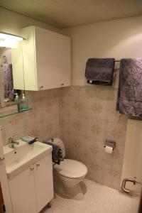 Christiania COSY & CENTER studio