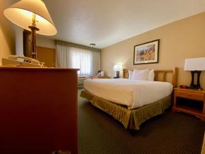King Room - Pet Friendly room in Best Western Sheridan Center