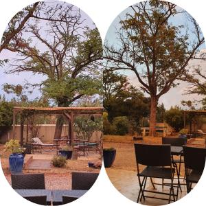 Hotels Hotel Carina : photos des chambres