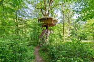 Sejours a la campagne L'Arbre a Cabane : Chambre Double - Vue sur Parc