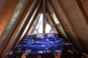 Sejours a la campagne L'Arbre a Cabane : photos des chambres