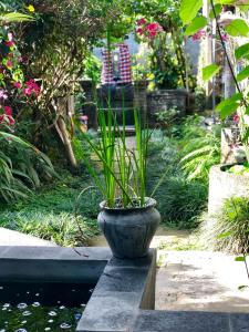 The Hidden Bali Inn