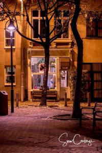 Hotel Urban Dreams