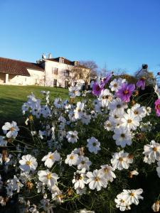 L'escapade photo 6