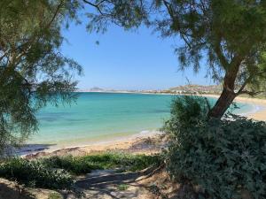 Villa Paradise in Naxos Naxos Greece