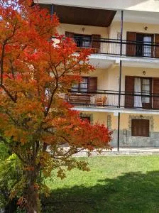 The House with the Hydrangeas - Kotrónion