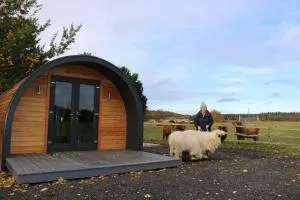 Glampods Glamping Pod - meet Highland Cows and Sheep Elgin - Coltfield