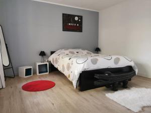 Appartements Spacieux et cosy F2 de 65m2 proche Strasbourg : photos des chambres