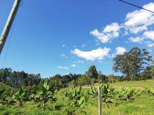 Finca hotel La Legia