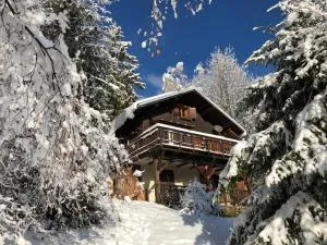 Chalet Le Doux Si, Large Self-Contained Apartment, 2km from Doucy-Combelouvière and close to Valmorel - Navette