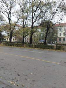 Цар Освободител 108