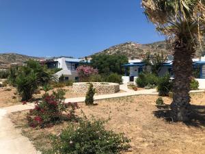Firoa Studios Donousa-Island Greece