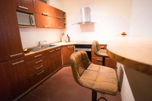 Apartment Vodni with parking