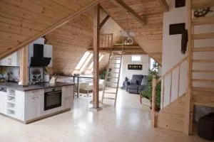 art-house 3 attic apartment with terrace - Tichlowitz