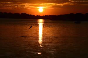 Appartements Port-Vincent : photos des chambres