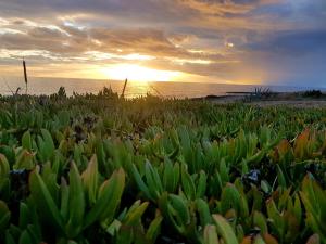 Lu Salentu Guest House