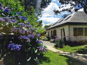 B&B / Chambres d'hotes La Dolce Vita : photos des chambres