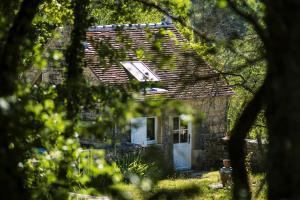 Maisons de vacances Le Domaine des Carriers - Gites : photos des chambres