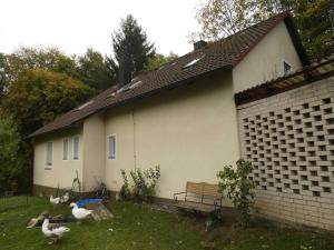 Goldener Fuchs in Moschendorf