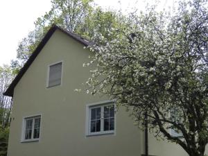 Goldener Fuchs in Moschendorf