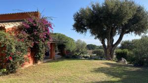 Villas Belle villa traditionnelle vue mer avec piscine a 1,5 km de la plage de Pinarello : photos des chambres