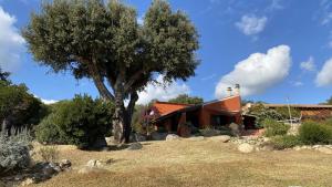 Villas Belle villa traditionnelle vue mer avec piscine a 1,5 km de la plage de Pinarello : photos des chambres