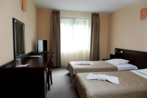 Single Room room in Hotel Complex Chayka