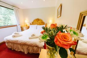 The Buzzard Lodge 2 bedroom sleeps up to 4