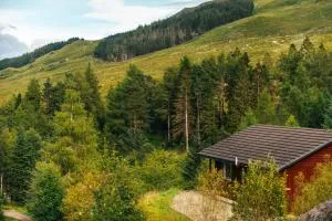 Gamekeeper Lodge loch and mountain view free wifi - Tyndrum