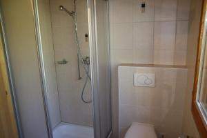 Tschoueilles 009 MOUNTAIN & VIEW - chalet 12 pers