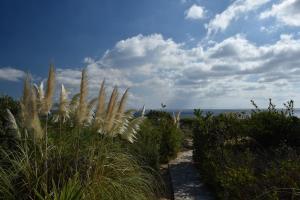 Villa Sophia Paros - Beachfront Three-Bedroom Villa with Sea view Paros Greece