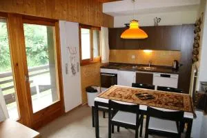 Diablerets SKI LIFT & MOUNTAIN apartments - 韦松纳