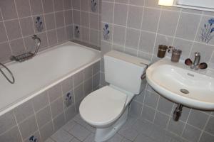 Mayens de lOurs CZ 013 - MOUNTAIN apartment 8 per