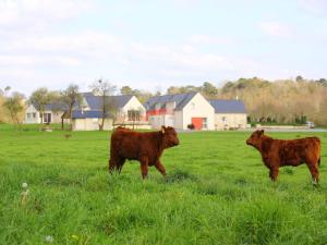 Maisons de vacances Gites de La Ferme de Vur Ven : photos des chambres