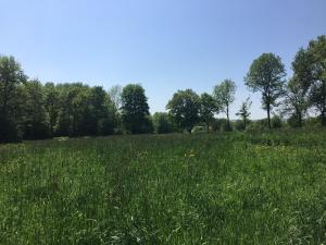 Le Pré Germain photo 9